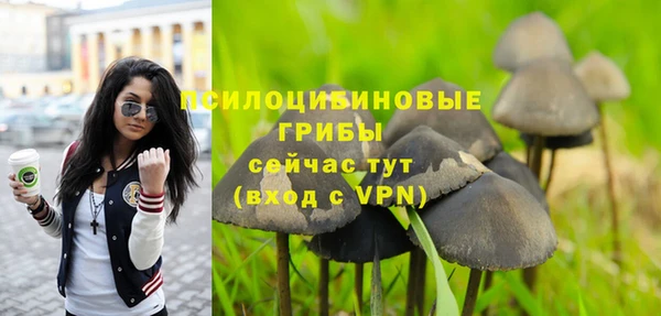 кокаин премиум Богданович