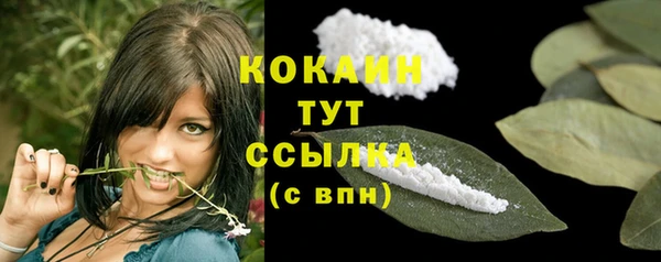 a pvp Бородино