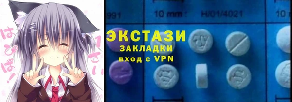a pvp Бородино