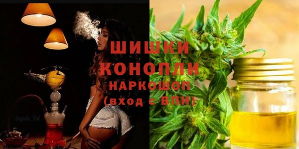 spice Богородск