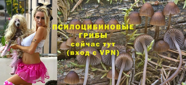 амф Бугульма