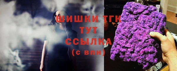 a pvp Бородино
